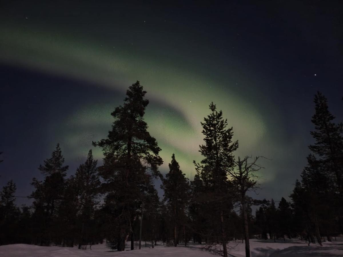 Kuukkeli Log Houses Aurora Cabin - Jaspis ساريسيلكا المظهر الخارجي الصورة