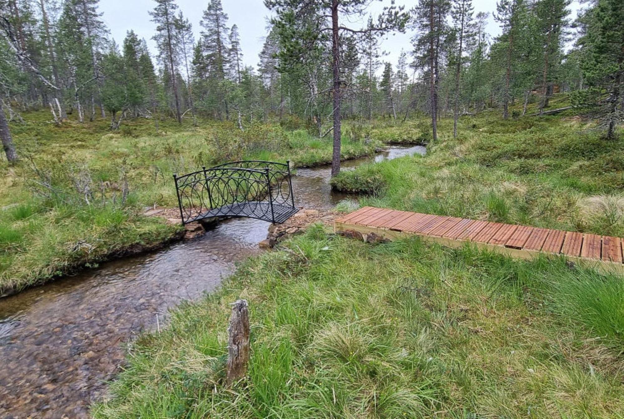 Kuukkeli Log Houses Aurora Cabin - Jaspis ساريسيلكا المظهر الخارجي الصورة